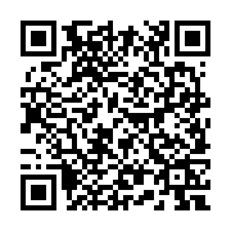 QR code for 2046