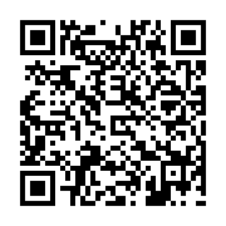 QR code for plate 205-339