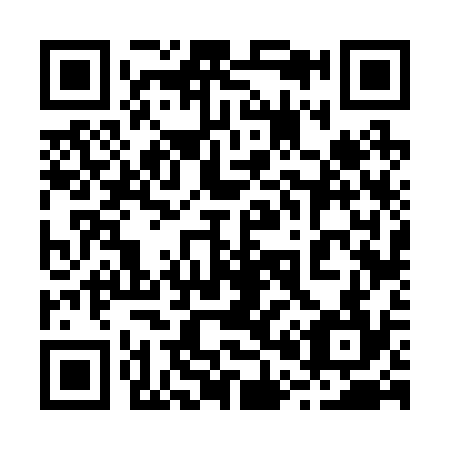 QR code for 206234