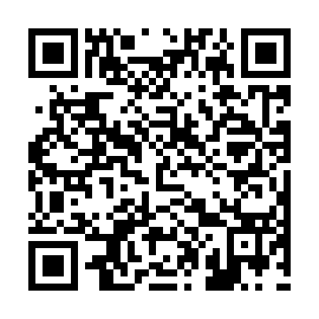 QR code for 207-953