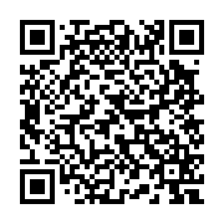 QR code for 207065
