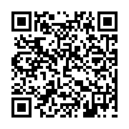 QR code for 207995