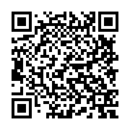 QR code for plate 208-833