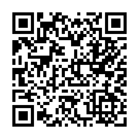 QR code for 20919