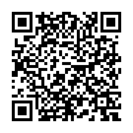 QR code for 2095