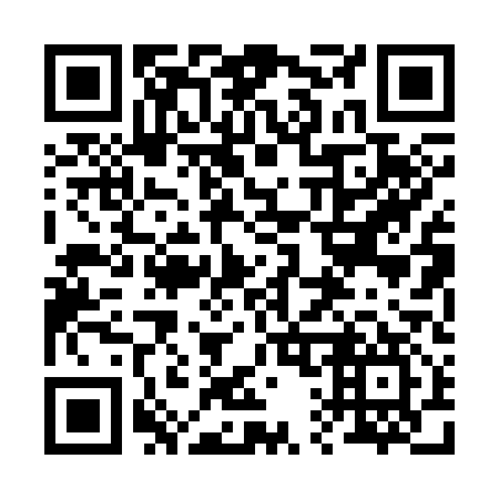 QR code for plate 210-317
