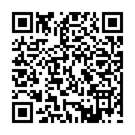 QR code for 21333