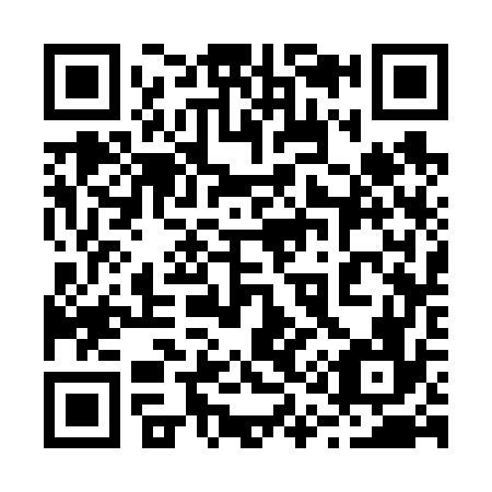 QR code for plate 213-676