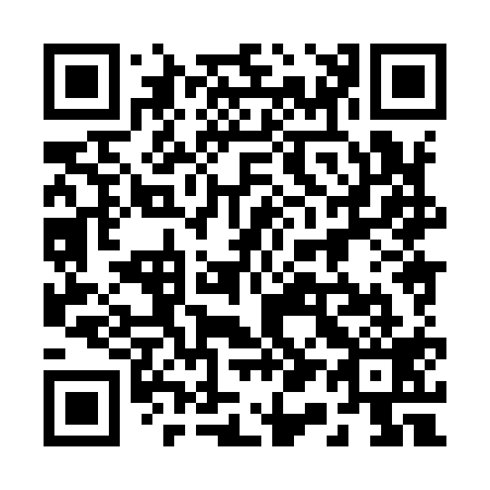 QR code for 218-919