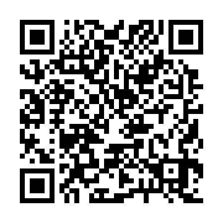 QR code for plate 221-333