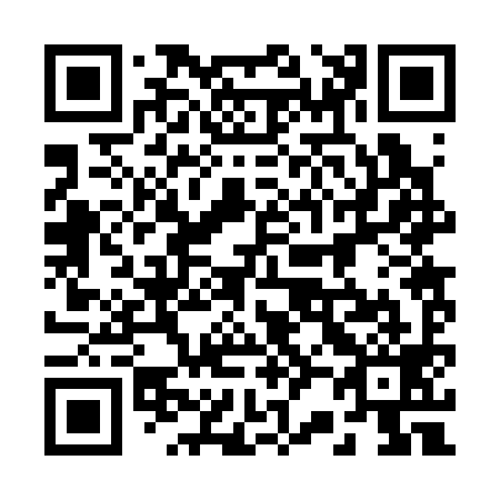 QR code for plate 222-399