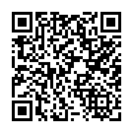 QR code for 225-219