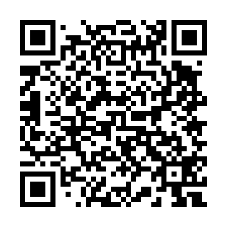 QR code for 225-419
