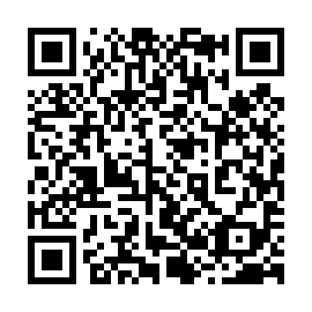 QR code for 225-499