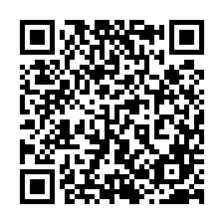 QR code for 225546