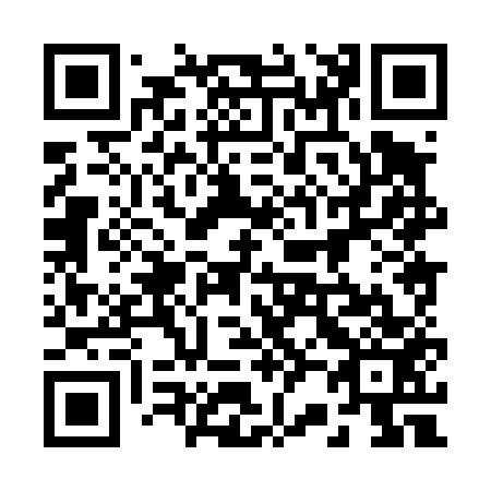 QR code for 228453