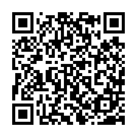 QR code for plate 228-602