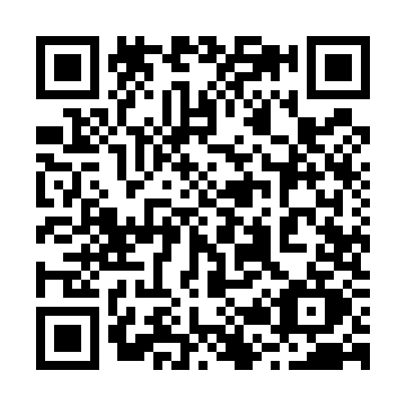 QR code for 2295