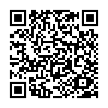 QR code for 2333