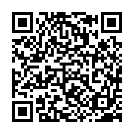 QR code for plate 238-313