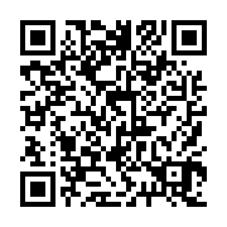 QR code for 238500