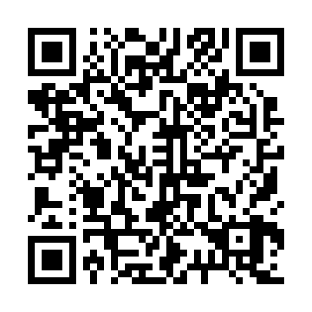 QR code for 239-228