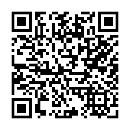 QR code for plate 241-939