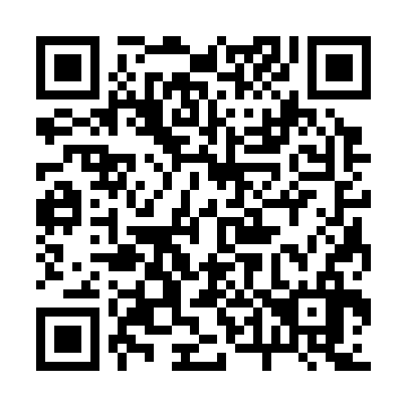 QR code for 243336