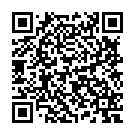 QR code for 243825