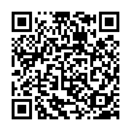QR code for 245-538