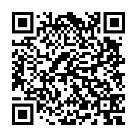 QR code for 250-439