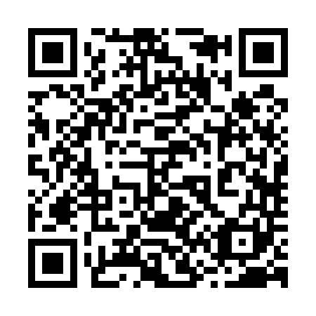QR code for plate 262-541