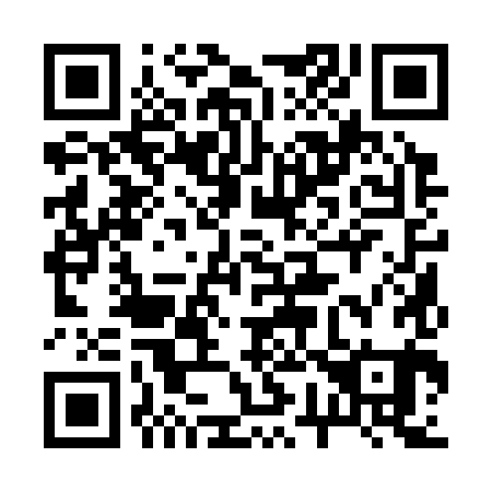 QR code for plate 271-381