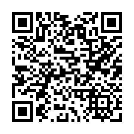 QR code for plate 272-933