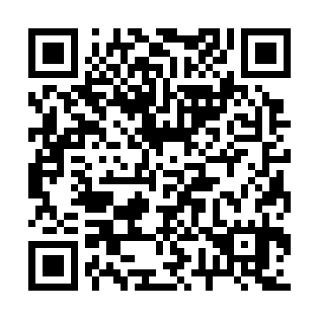 QR code for plate 273-335