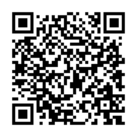 QR code for 28463