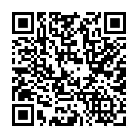 QR code for plate 285-394