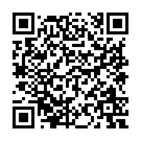 QR code for 28993
