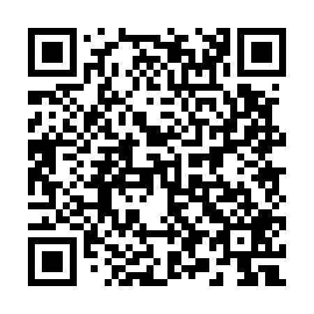 QR code for 290-509