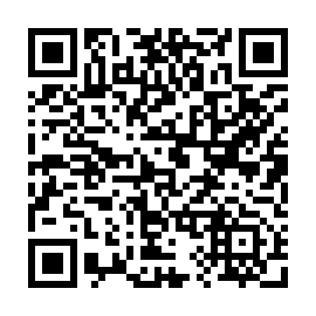 QR code for 290-953