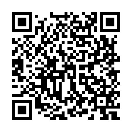 QR code for 290-955