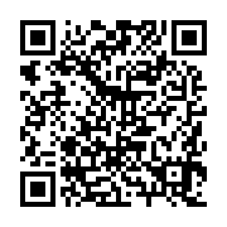 QR code for 290-995