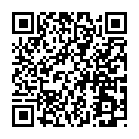 QR code for 29007