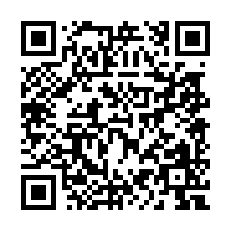 QR code for 29009