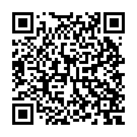 QR code for 290243