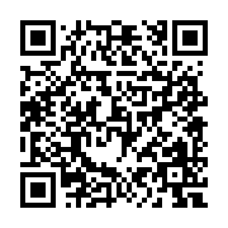 QR code for 29079