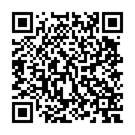 QR code for 291-463