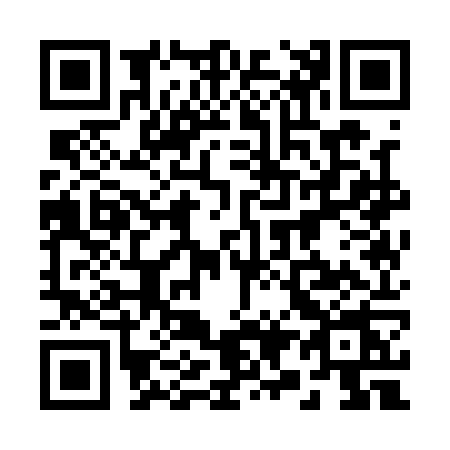 QR code for 2911