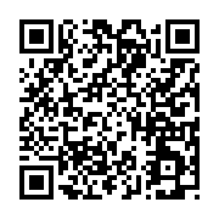 QR code for 29169