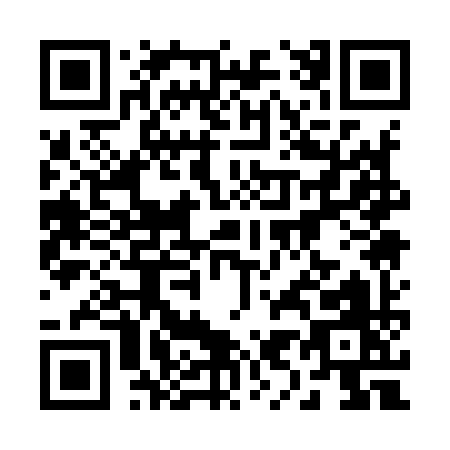 QR code for 29199